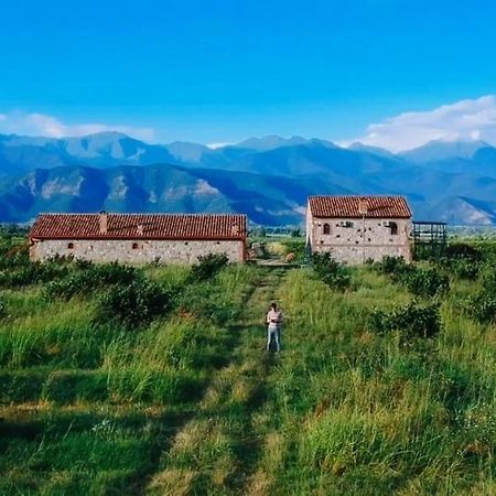 Mestvireni Telavi Ngoại thất bức ảnh
